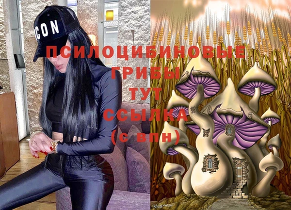 мескалин Горно-Алтайск