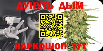 гашик Донской