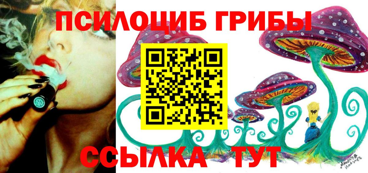 Псилоцибиновые грибы мицелий  Острогожск 