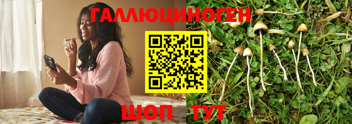 Галлюциногенные грибы Cubensis  Вход с VPN  Галлюциногенные грибы ЛСД  Острогожск 