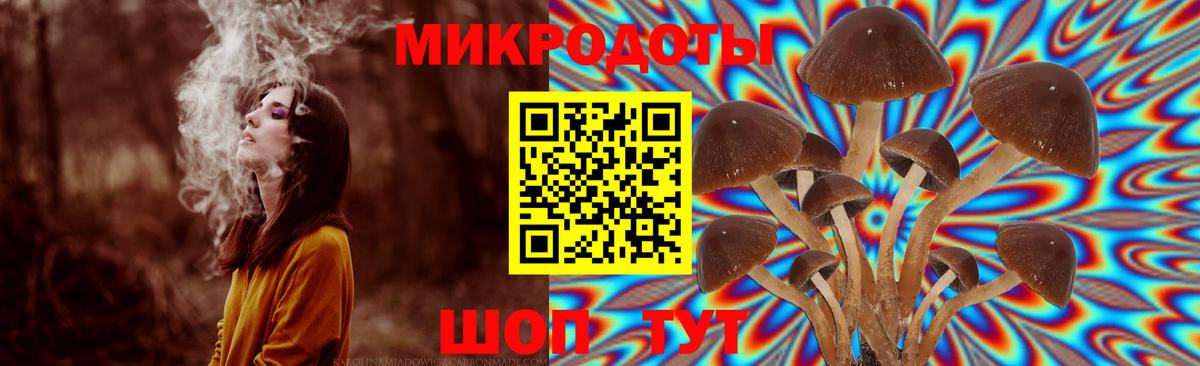 Псилоцибиновые грибы Magic Shrooms Острогожск