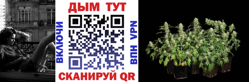 где купить   Острогожск  Марихуана Amnesia 